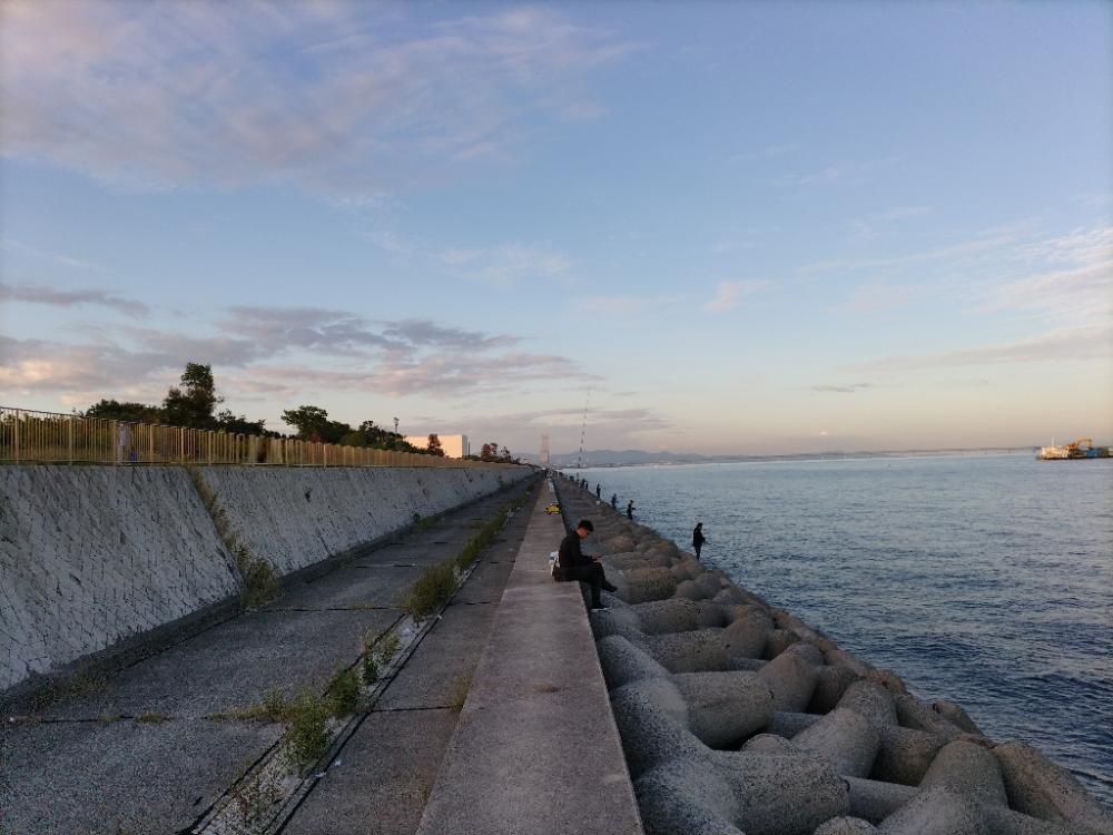 ライトショアジギング