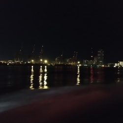 青物狙いでおまけも