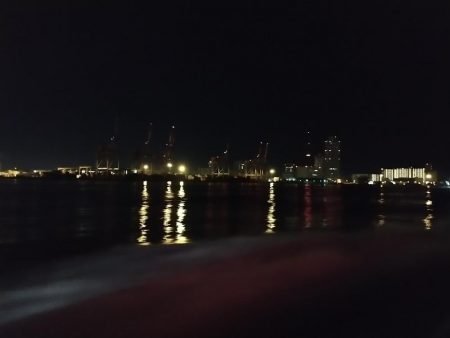 青物狙いでおまけも