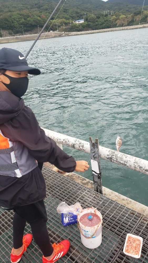 今日は渋かった