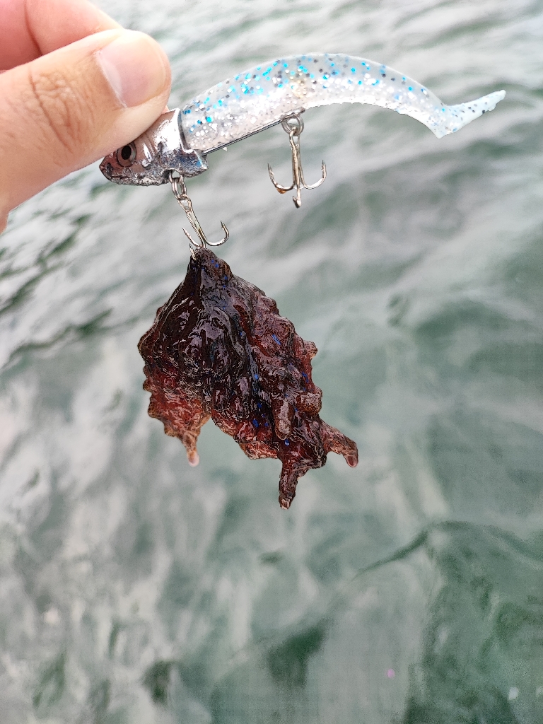 雨上がりの穴撃ちデイシーバス