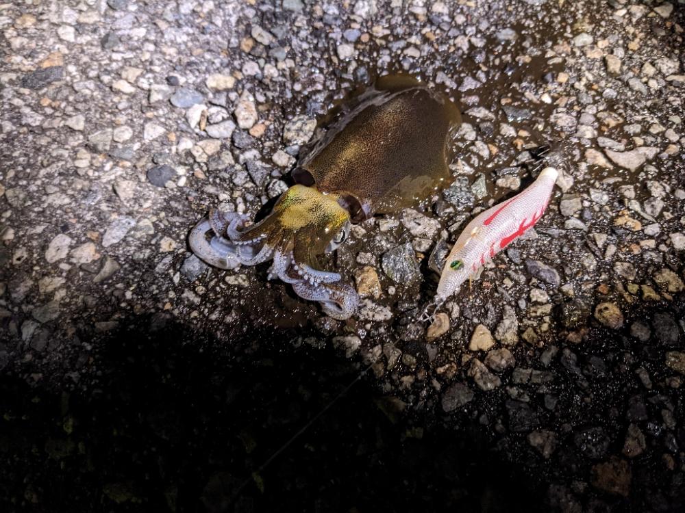 爆風の中6杯(-x-*)…