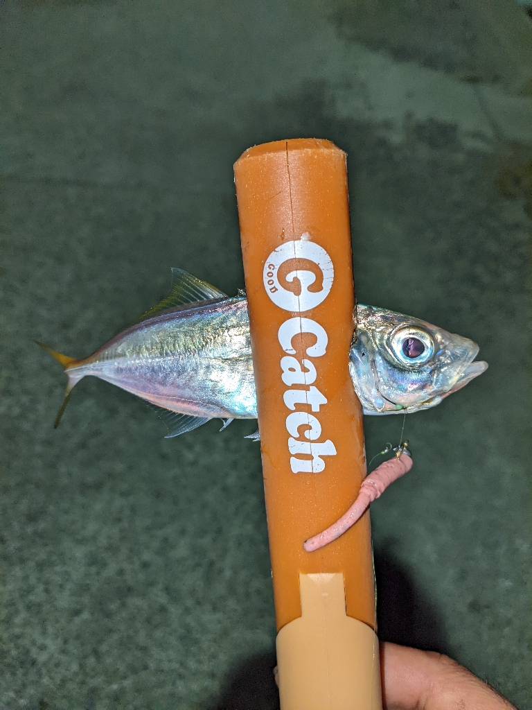 アジジジジング