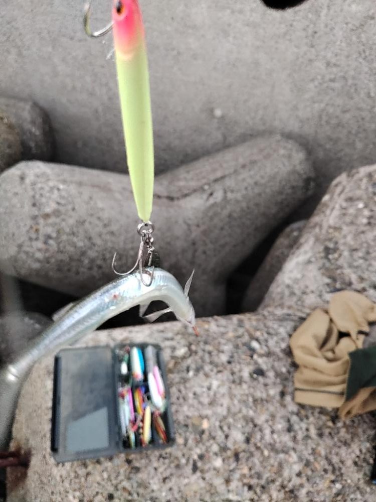 ショアジギング