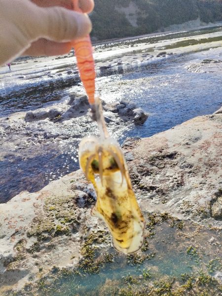 浜田の地磯釣行一日目！
