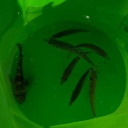 絶唱!!ど~言うこっちゃ~・・・(唖然)