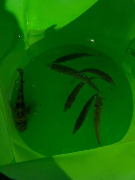 絶唱！！ど～言うこっちゃ～・・・(唖然)