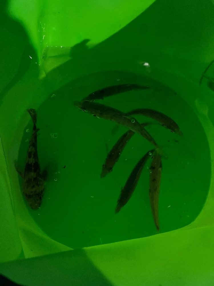 絶唱！！ど～言うこっちゃ～・・・(唖然)