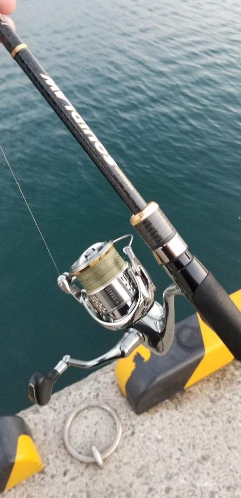 エギング　風を避けて