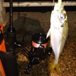 風速体感4m以上