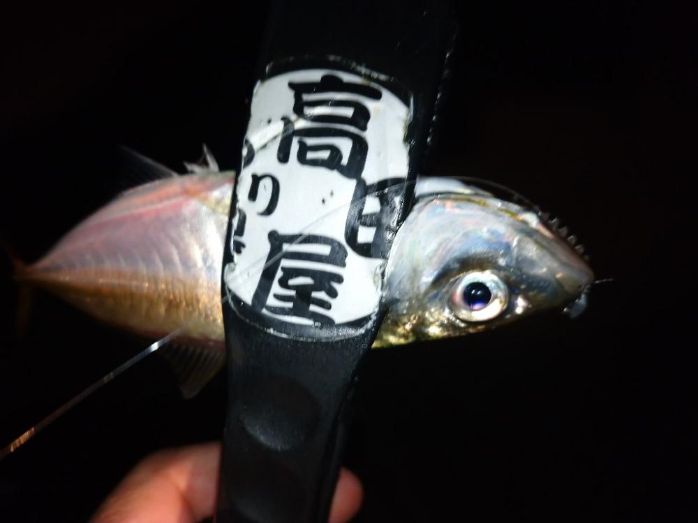 姫アジチャレンジ