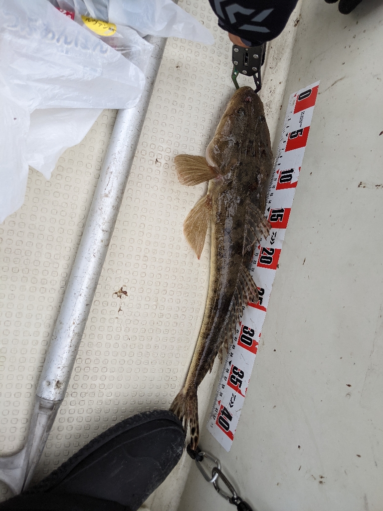 ボートキャスティング