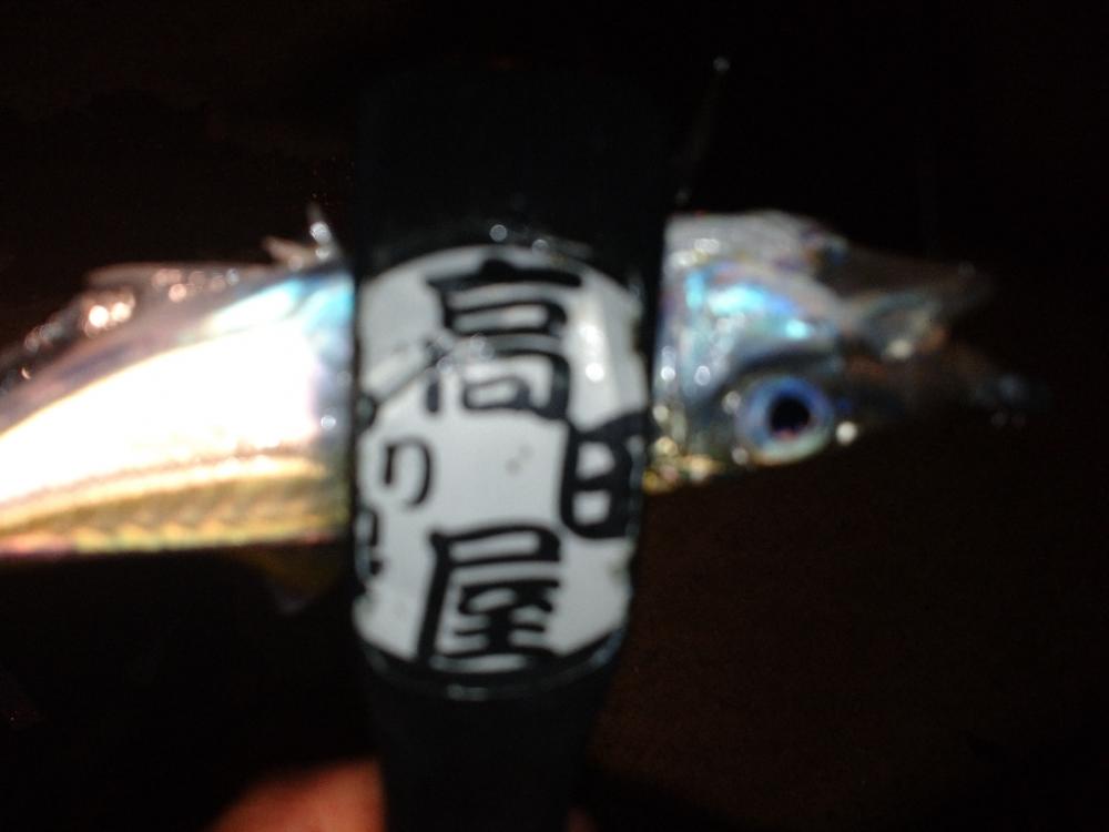 めっちゃ寒い🥶