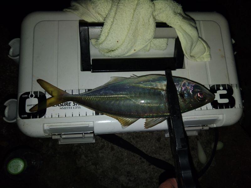 フロートゲーム