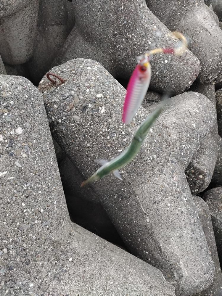 ショアジギング