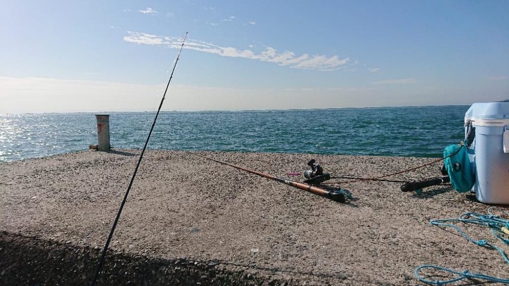 コフダイ釣りゆ