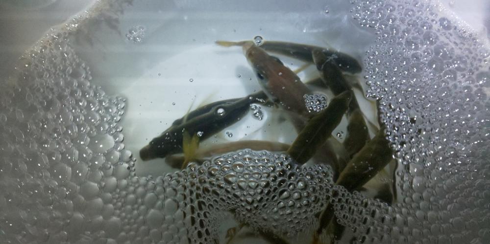 エギングシーズンにてまさかの釣果が！！