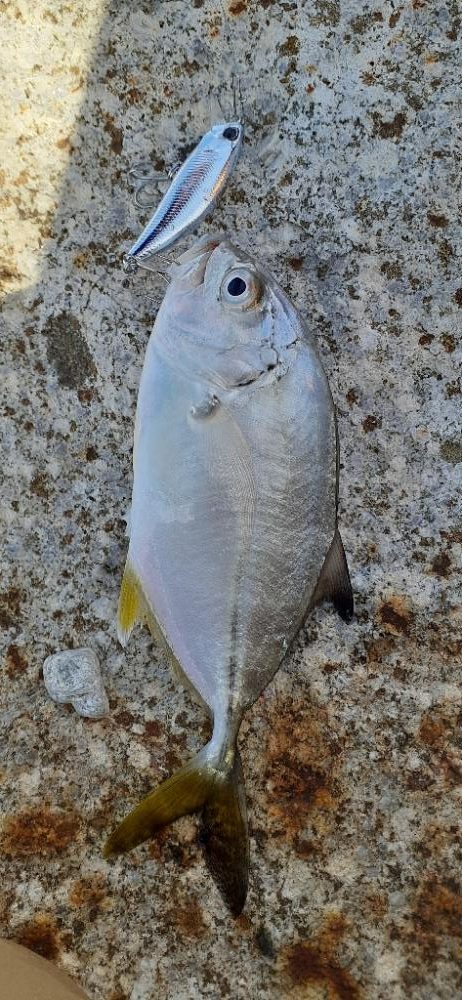 トップの醍醐味😊