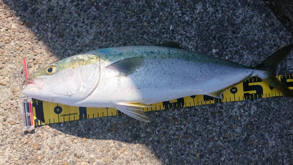 2022播磨遠征第2回