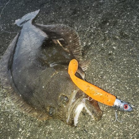 オレンジ色の憎いヤツ！