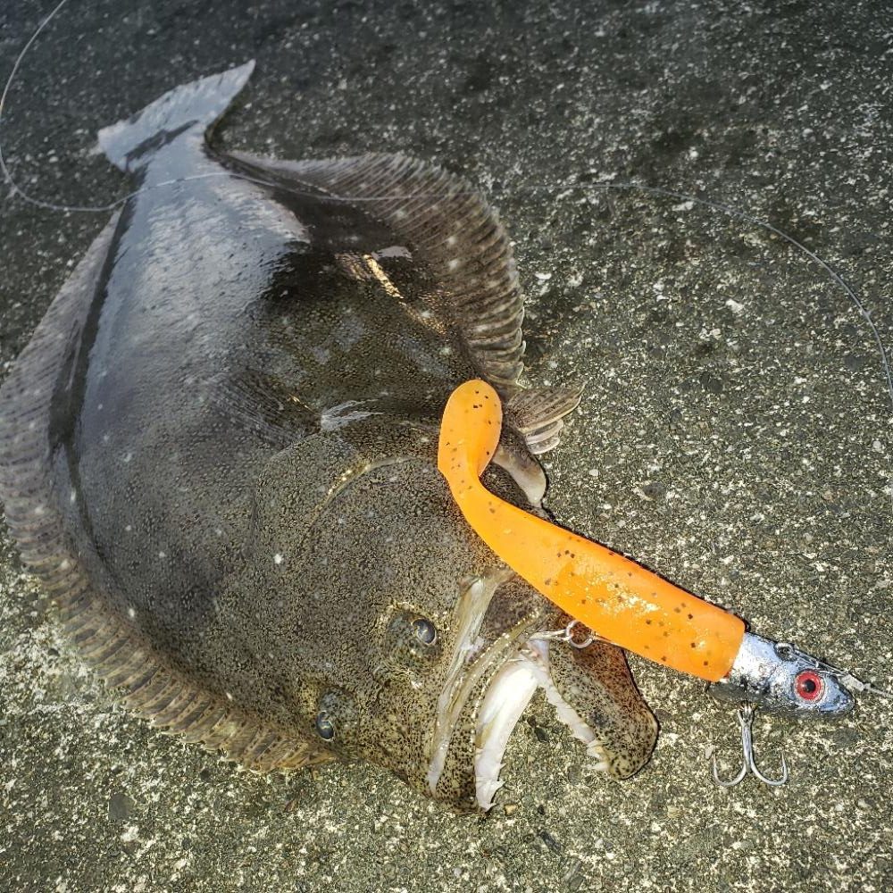 オレンジ色の憎いヤツ！