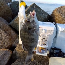 大塩海岸の投げ釣り