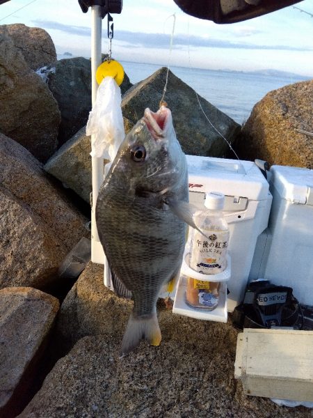 大塩海岸の投げ釣り