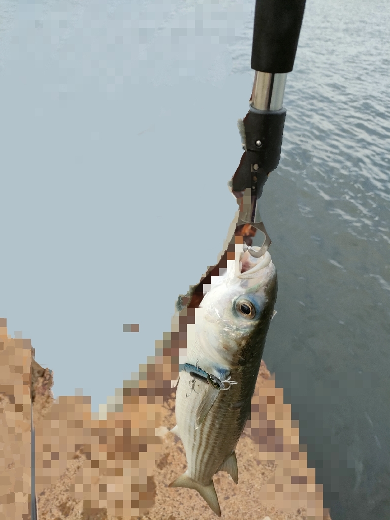 青物祭り終了〜