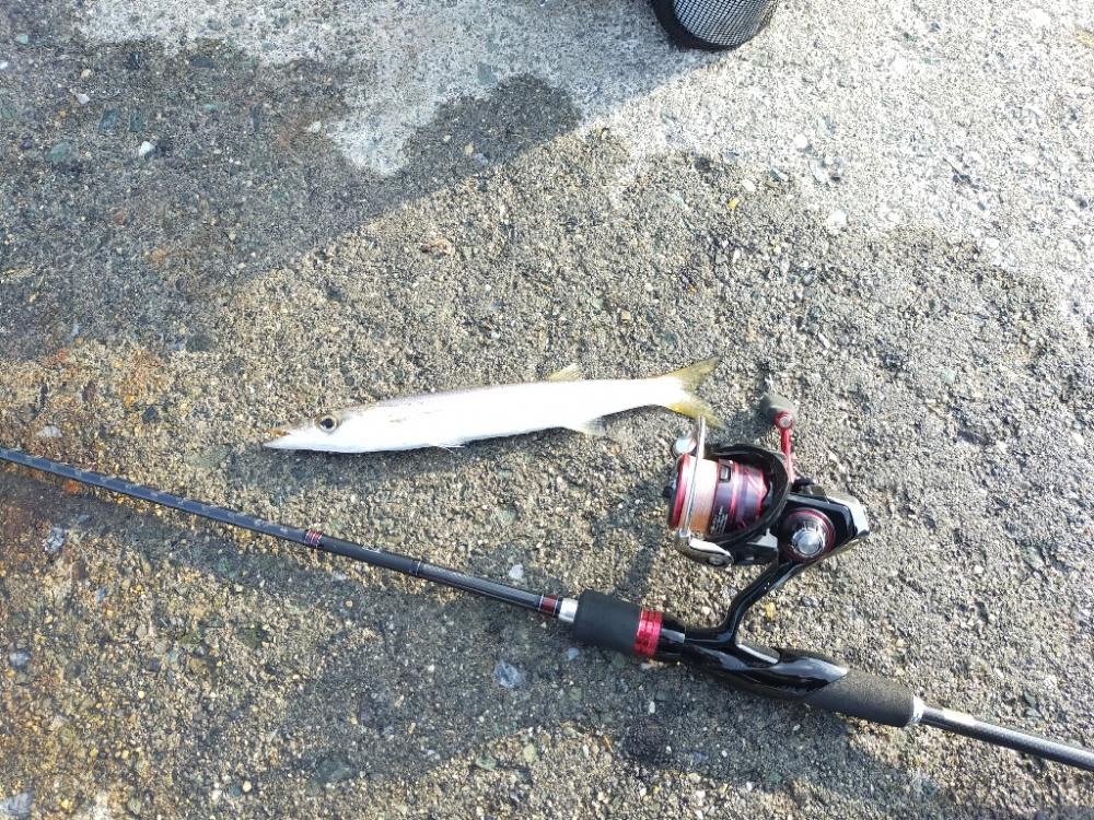 沖漬けが作りたい