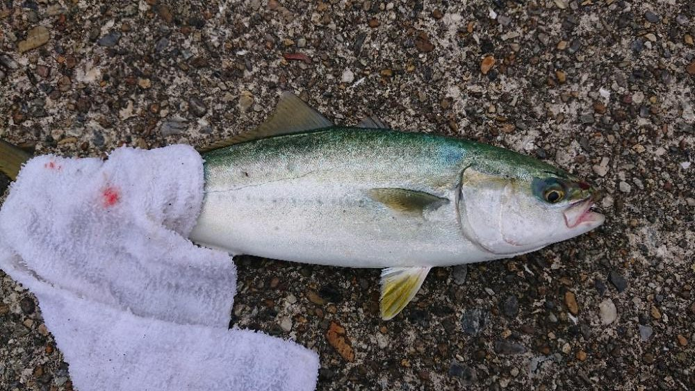 2022播磨遠征初回