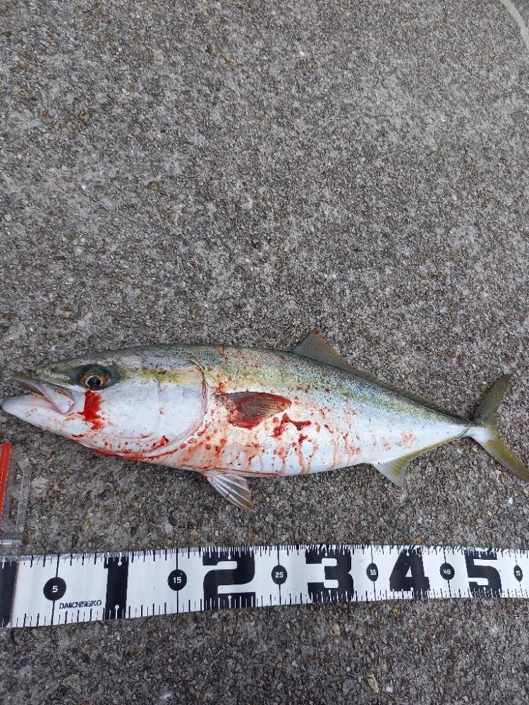 飲ませリベンジャー