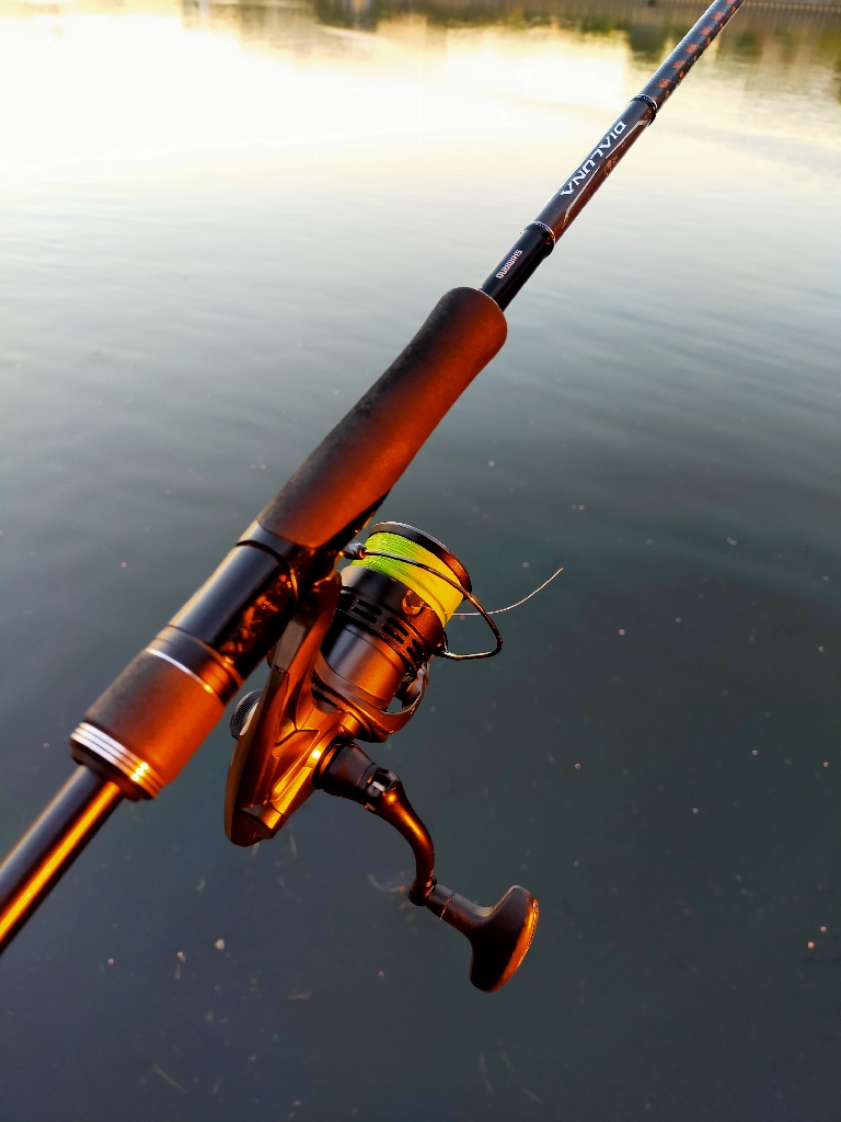 秋の元気なシーバス