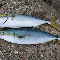 足ガクガク(。ŏ﹏ŏ)