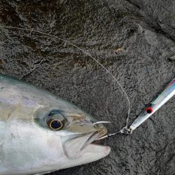 バーティカルリミット大活躍な離島ショアジギング