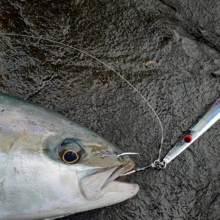 バーティカルリミット大活躍な離島ショアジギング