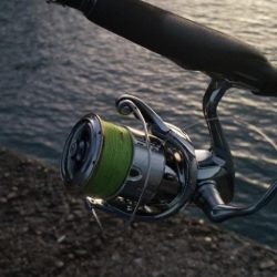 タチウオ狙いでエギングも。