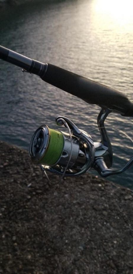 タチウオ狙いでエギングも。