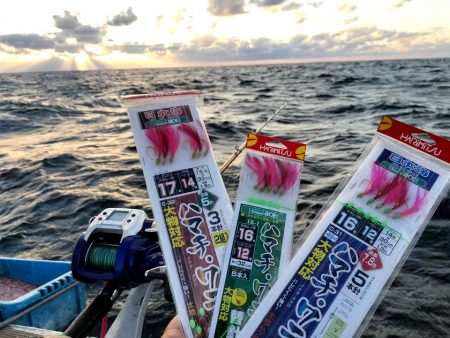 ワラサ＋ハマチ爆釣！