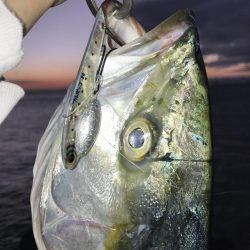 ゆうまづめの一瞬のチャンスで！