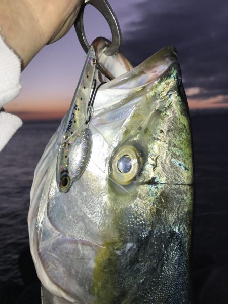 ゆうまづめの一瞬のチャンスで！