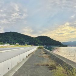 サヨリとアジ釣り