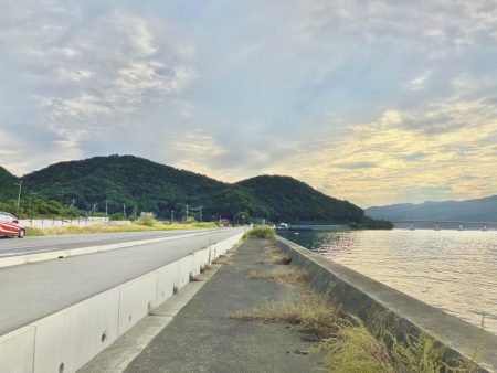 サヨリとアジ釣り