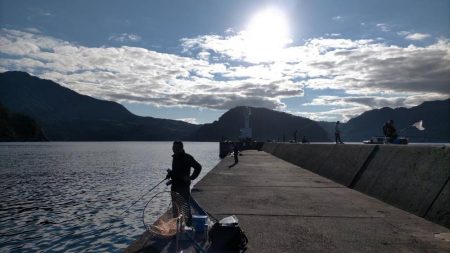 カワハギ仕掛けで五目釣り