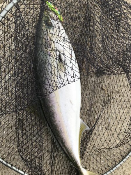 ベストタイミング