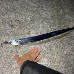 初めての太刀魚釣り