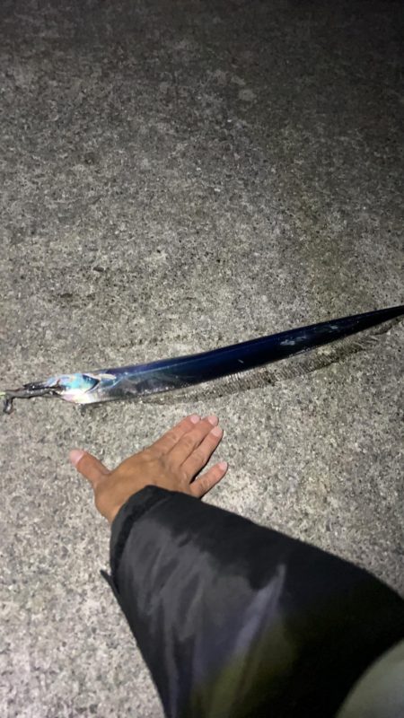 初めての太刀魚釣り