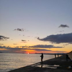 底モン、青モン狙い出撃