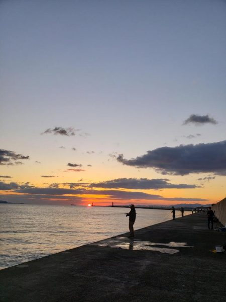 底モン、青モン狙い出撃