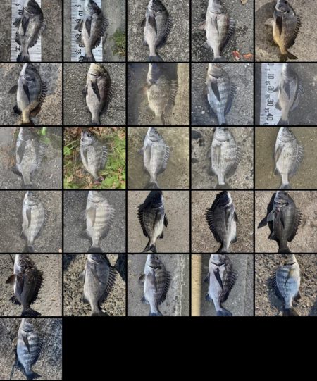 イチノ今日(兄)釣果!