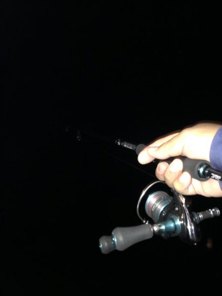 ナイトエギング